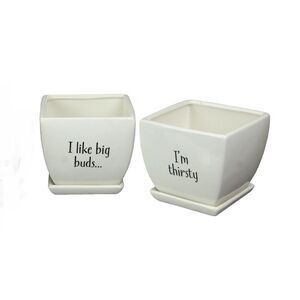 Set of 3 Country White Funny Saying Planter Pots 4.75 Inches